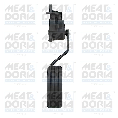 Accelerator Pedal Unit